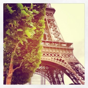 The Eiffel Tower in May